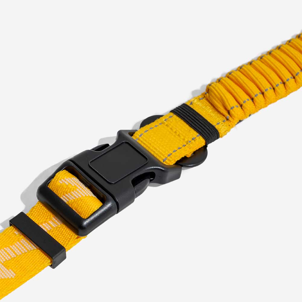 A doppio lato riflettente rettificabile versatile a manico morbido in nylon guinzagli per cani - Flexi Walker