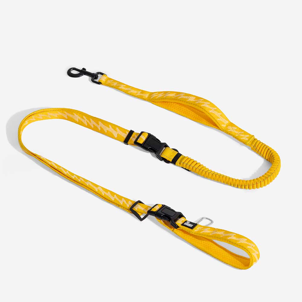 A doppio lato riflettente rettificabile versatile a manico morbido in nylon guinzagli per cani - Flexi Walker