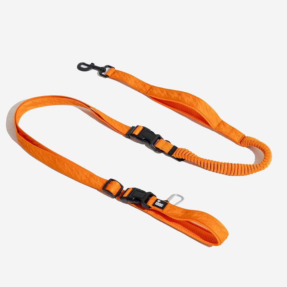 A doppio lato riflettente rettificabile versatile a manico morbido in nylon guinzagli per cani - Flexi Walker
