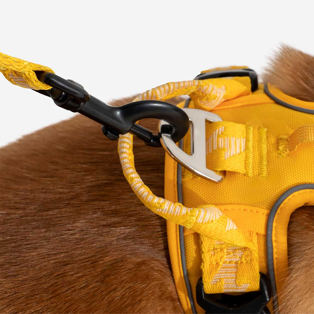 A doppio lato riflettente rettificabile versatile a manico morbido in nylon guinzagli per cani - Flexi Walker