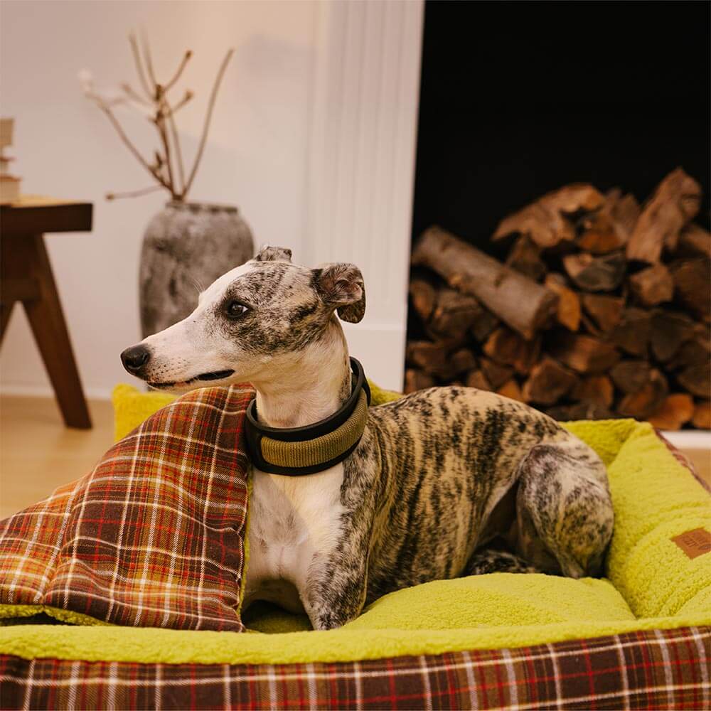 Grandi letti per cani rivestiti in tartan vintage lavabili - Avocuddle