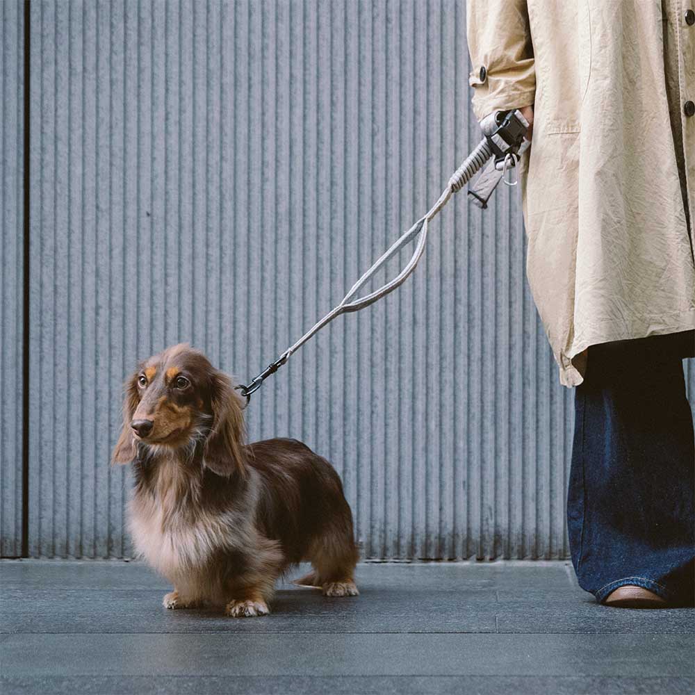 A doppio lato riflettente rettificabile versatile a manico morbido in nylon guinzagli per cani - Flexi Walker