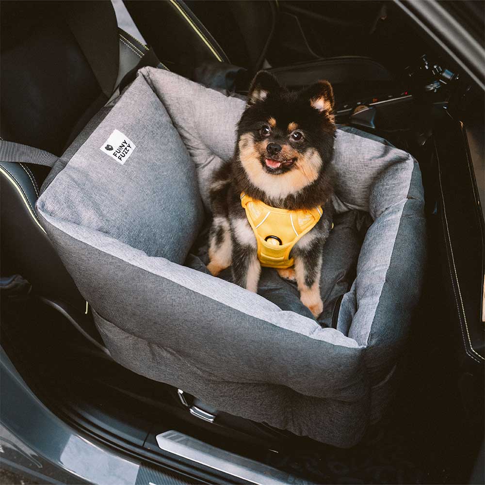 Lit de siège de voiture pour chien, rehausseur de Protection de voyage, imperméable, surélevé et épais