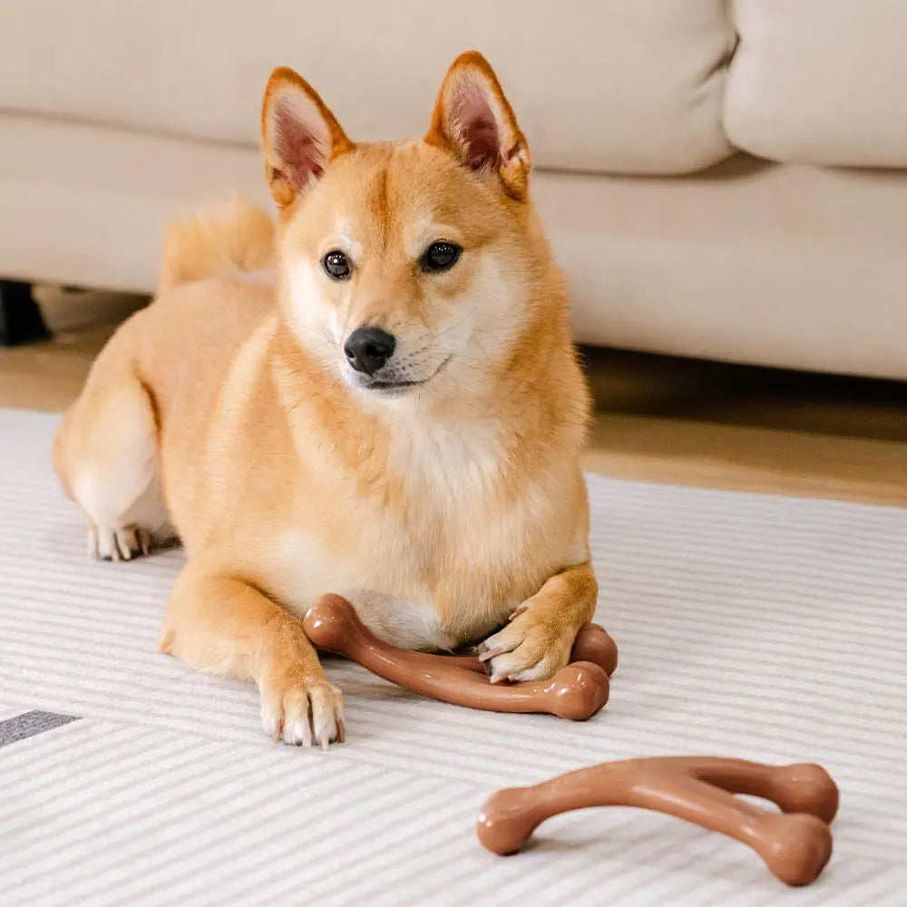 DEETHING BONES CANE MASHEW GIOCHI