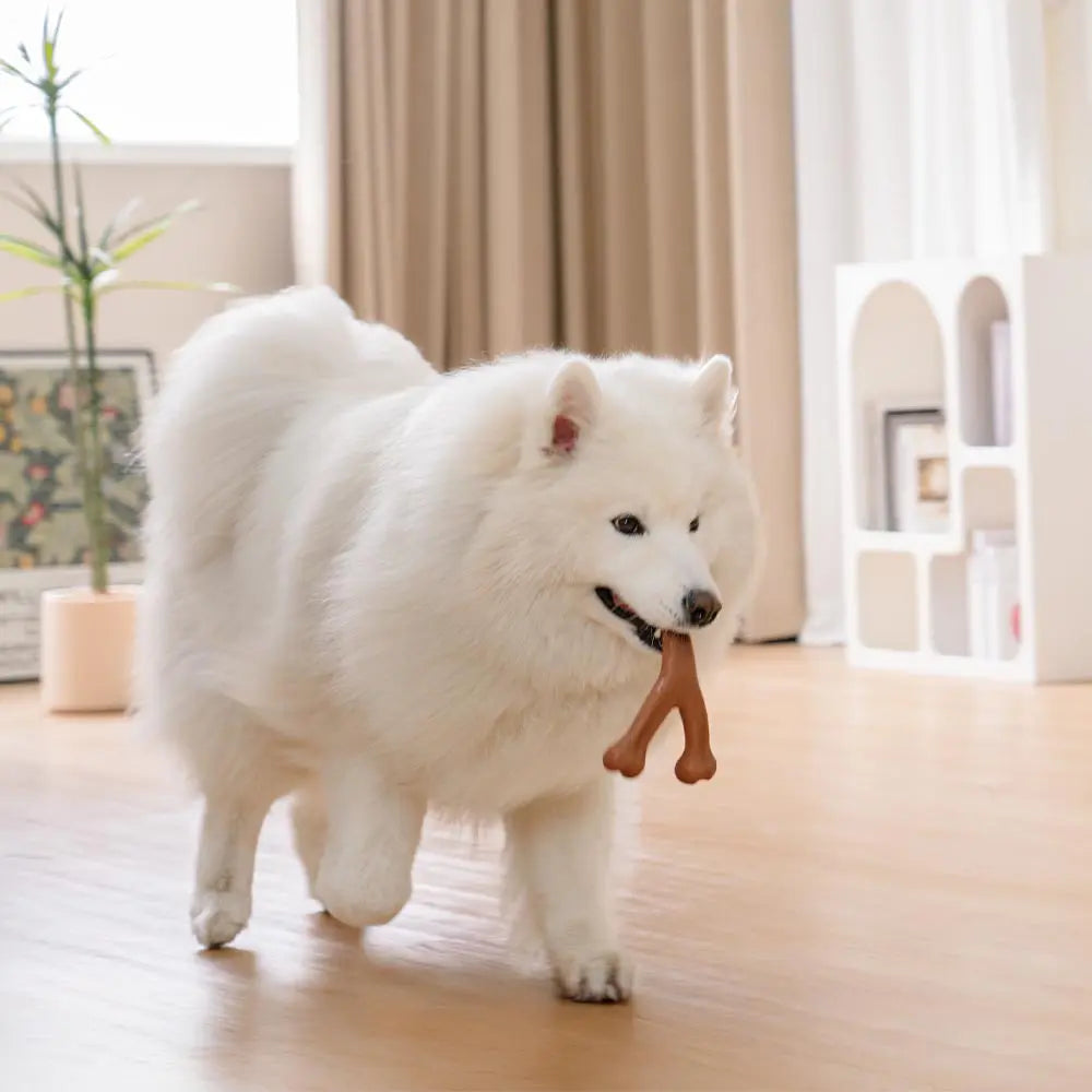 DEETHING BONES CANE MASHEW GIOCHI