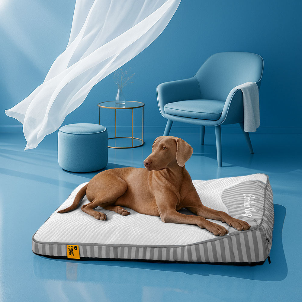 Rettangolo di raffreddamento extra grandioso Rettangolo Ortopedico Dog Bed - Nap di raffreddamento