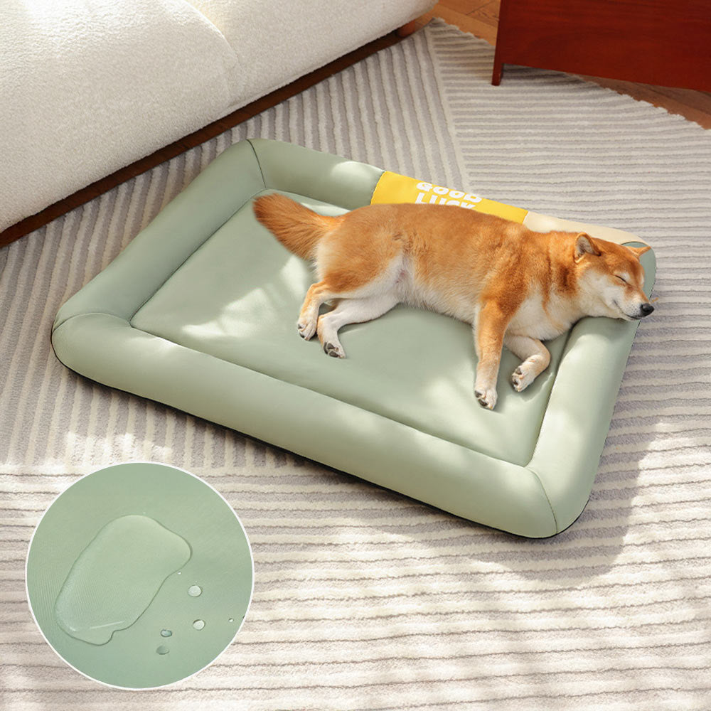 <tc>Color</tc>Tapete para perros Block, impermeable, resistente a arañazos y para todas las estaciones