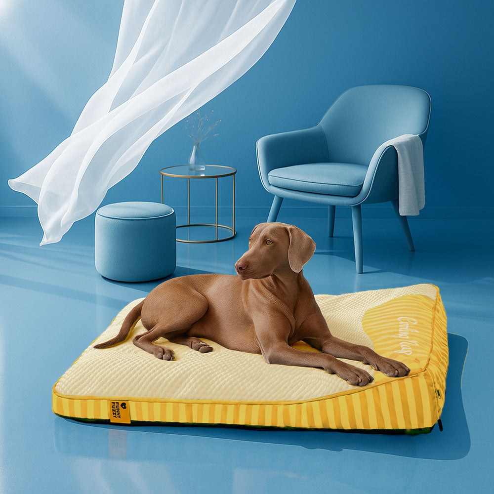 Rettangolo di raffreddamento extra grandioso Rettangolo Ortopedico Dog Bed - Nap di raffreddamento