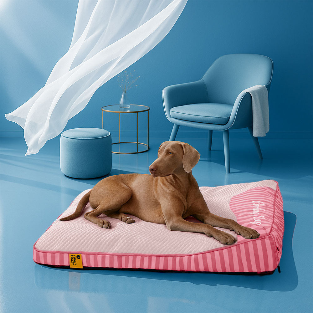 Rettangolo di raffreddamento extra grandioso Rettangolo Ortopedico Dog Bed - Nap di raffreddamento