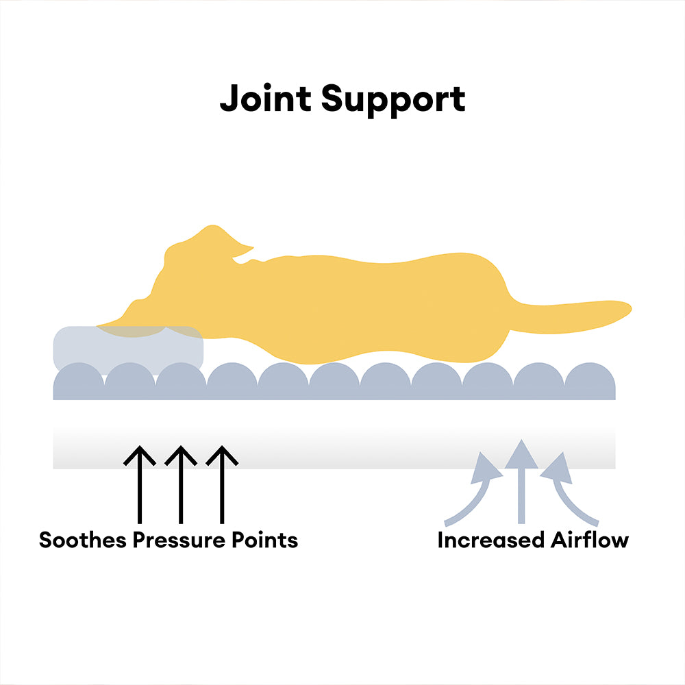 Grande soffice soffice ortopedico cuscino morbido cuscino di divano di divani sogno