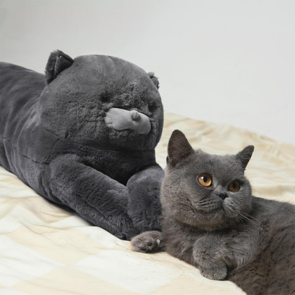 Serie di animali cuscini per tiri lunghi décor décor cuscino per animali domestici