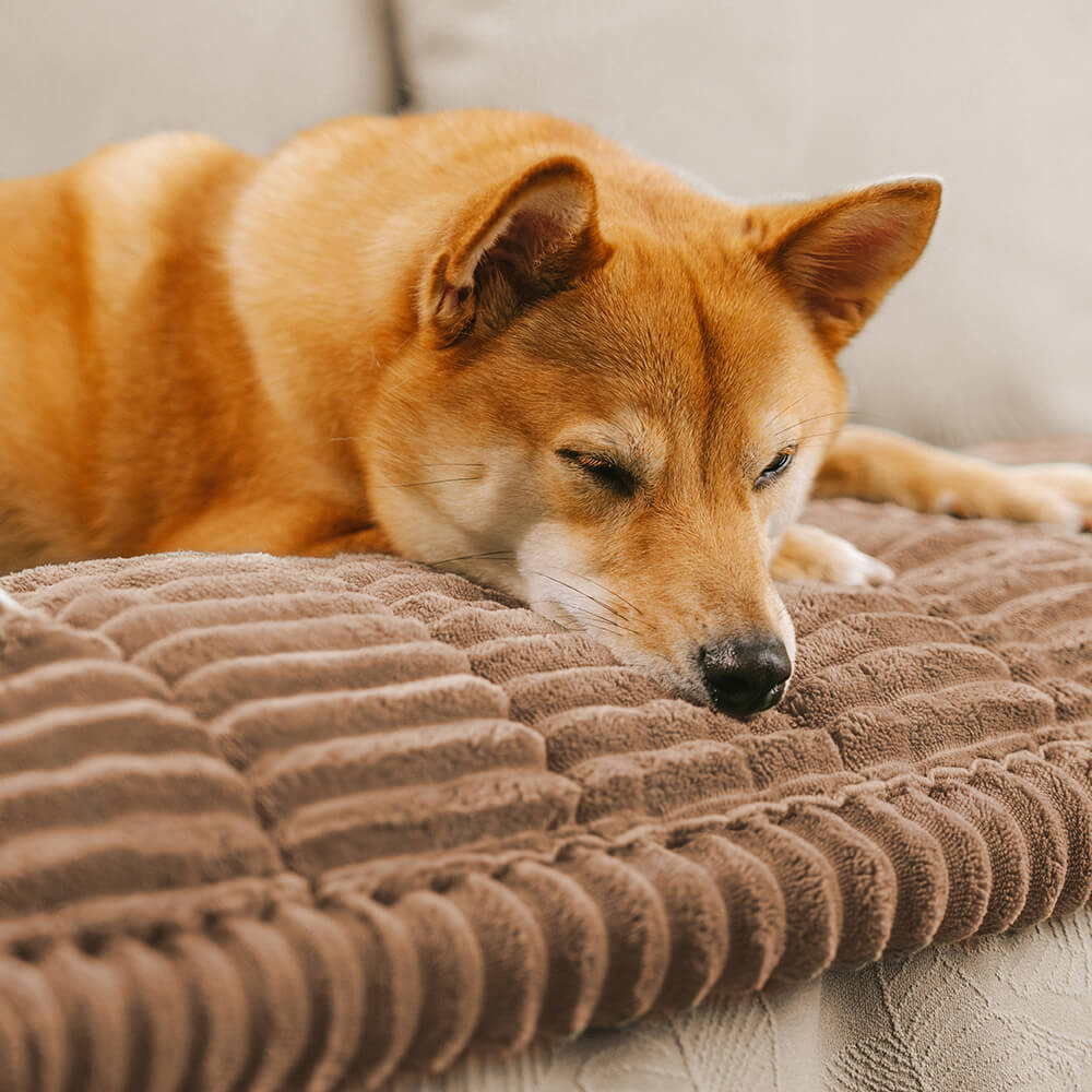 Pare di divani non slip per peper tappetini traspirati in flanella morbida pigra
