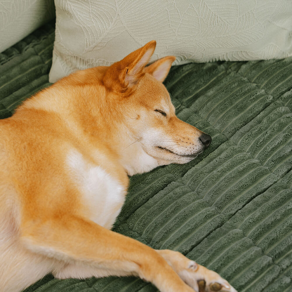 Pare di divani non slip per peper tappetini traspirati in flanella morbida pigra