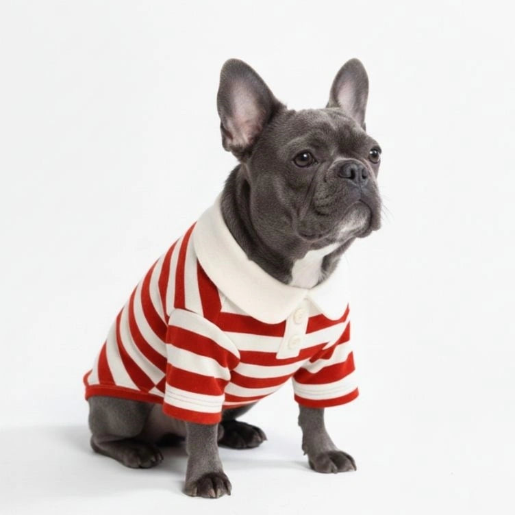 Classic Striped Polo Dog Shirts