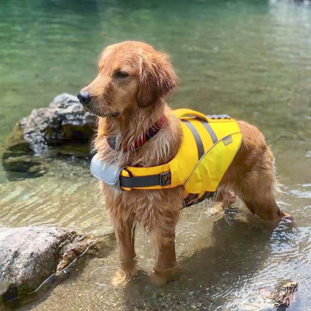 Dog Life Jacket - Lifeguard - FUNNYFUZZY