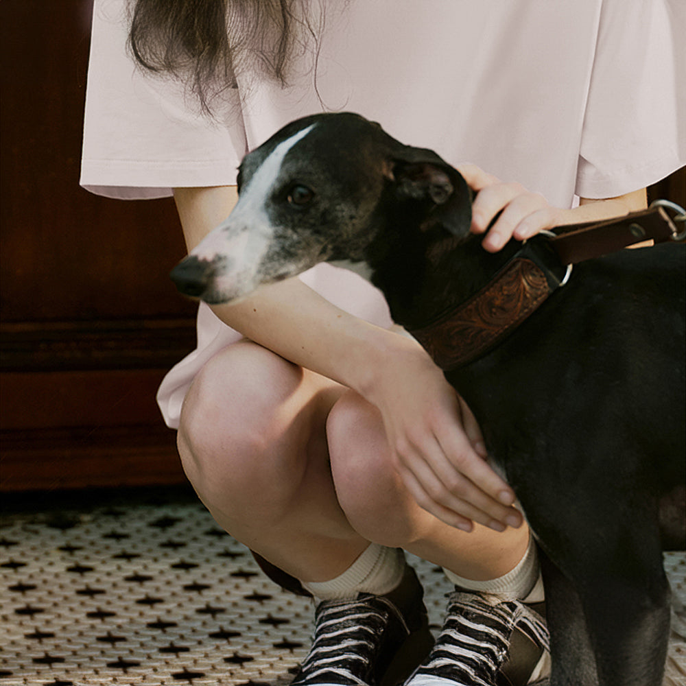 Coppia a manica corta a colori a colore puro ecologico resistente agli animali domestici.