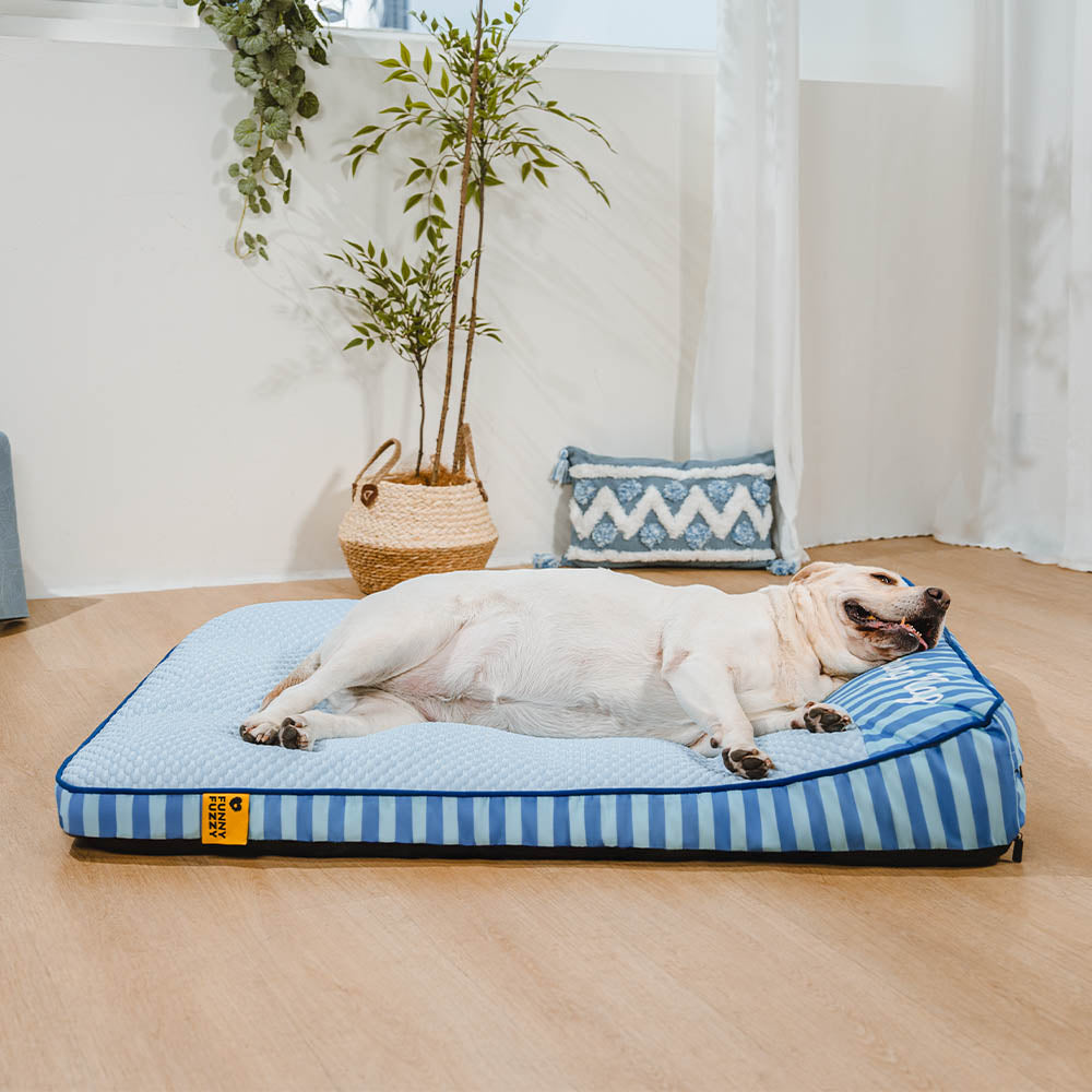 Rettangolo di raffreddamento extra grandioso Rettangolo Ortopedico Dog Bed - Nap di raffreddamento