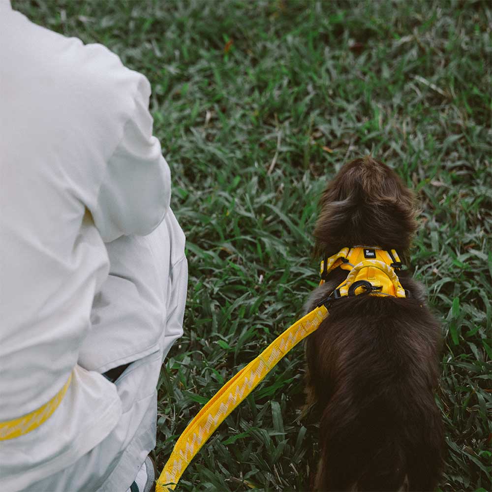 FunnyFuzzy Riflettente Riflettente Cancellatura per cani all'aperto - Flexi Walker