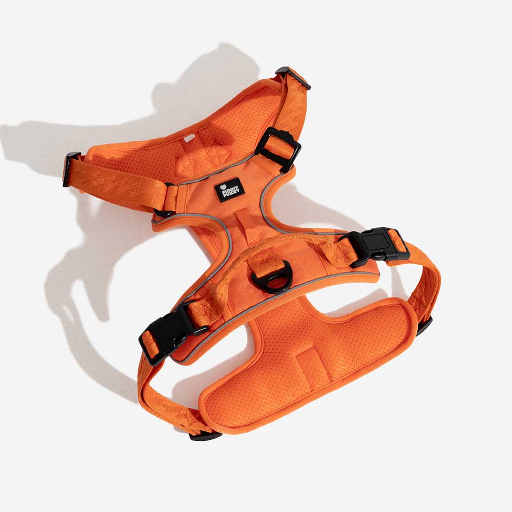 FunnyFuzzy Riflettente Riflettente Cancellatura per cani all'aperto - Flexi Walker