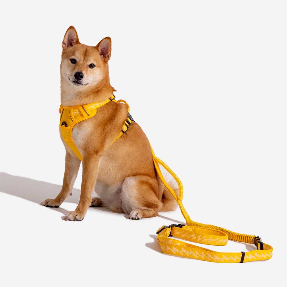 FunnyFuzzy Riflettente Riflettente Cancellatura per cani all'aperto - Flexi Walker