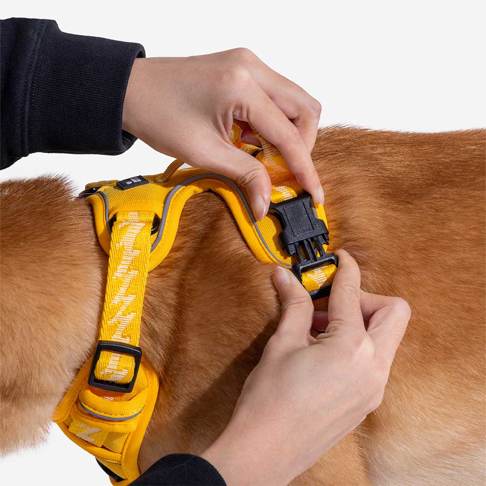 FunnyFuzzy Riflettente Riflettente Cancellatura per cani all'aperto - Flexi Walker