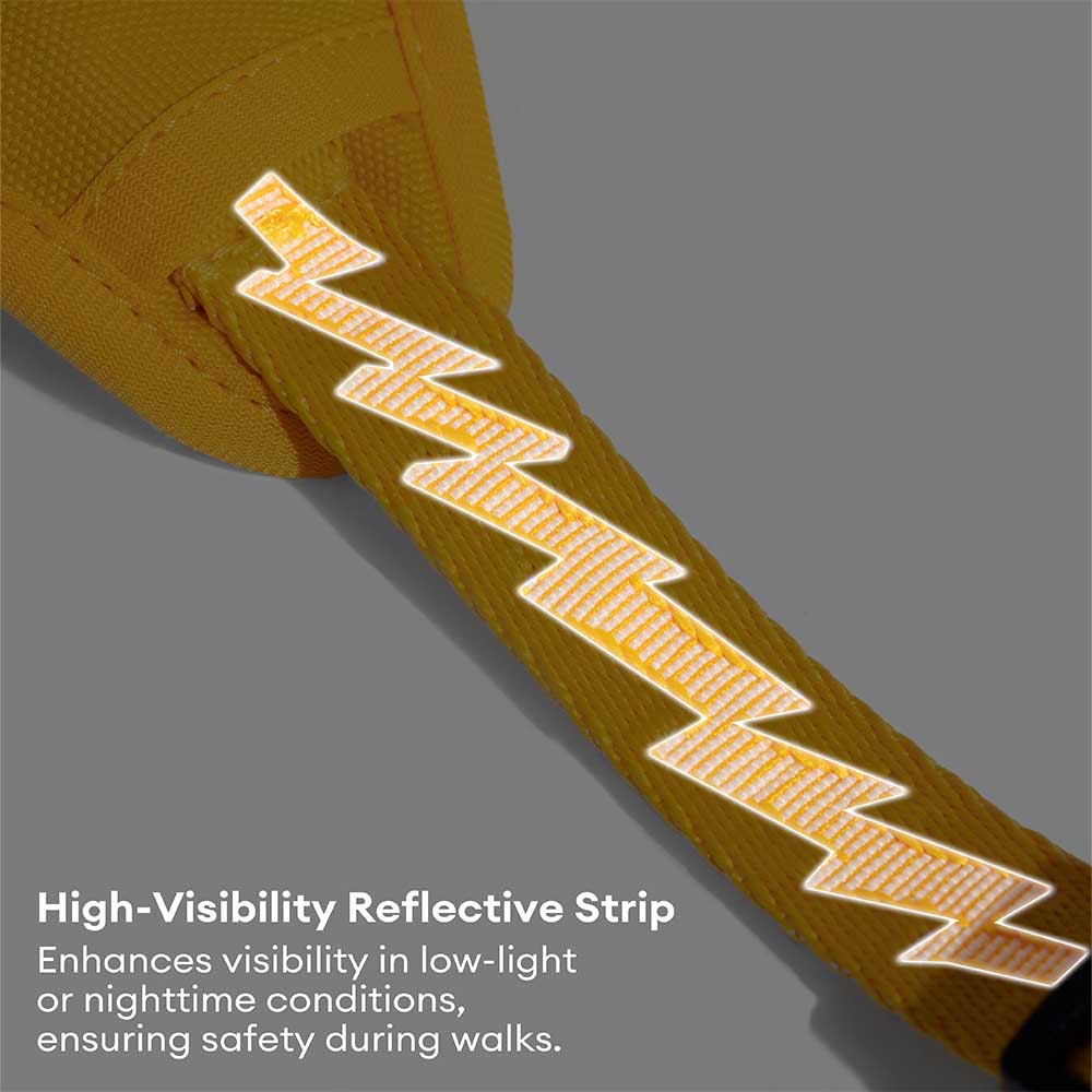 FunnyFuzzy Riflettente Riflettente Cancellatura per cani all'aperto - Flexi Walker