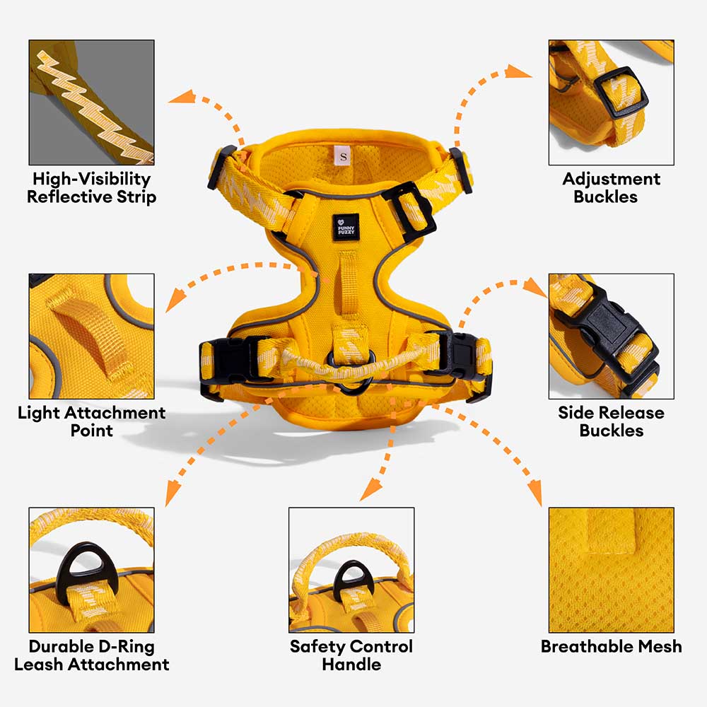 FunnyFuzzy Riflettente Riflettente Cancellatura per cani all'aperto - Flexi Walker