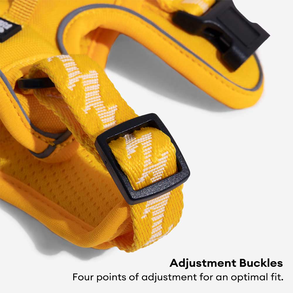 FunnyFuzzy Riflettente Riflettente Cancellatura per cani all'aperto - Flexi Walker