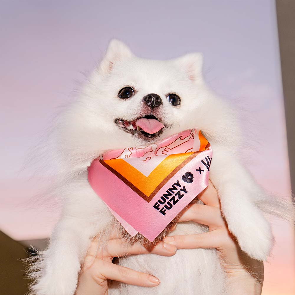 Funnyfuzzy x klarna mascota y bufanda humana