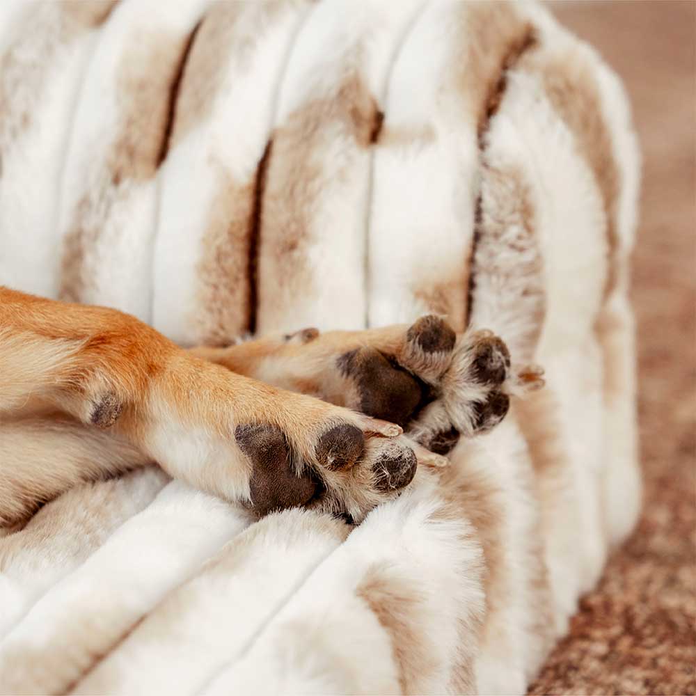 Cama de perro ortopédico rayado de rayas esponjosas - Luxe Comfort