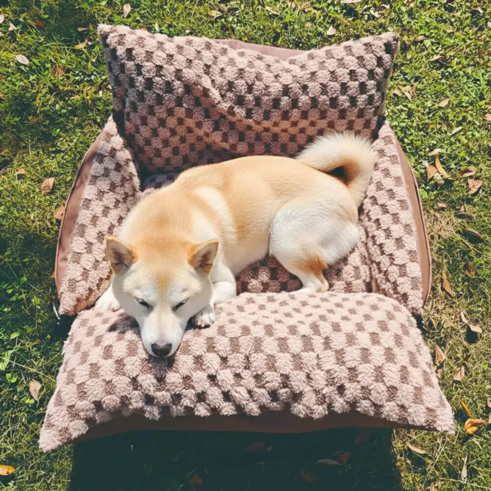 Checkerboard Faux Leather Safety Center Console Pet Car Seat and Carrier 2 in 1