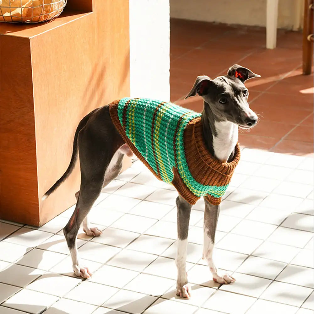 Color Blocked Striped Dachshund Dog Sweater