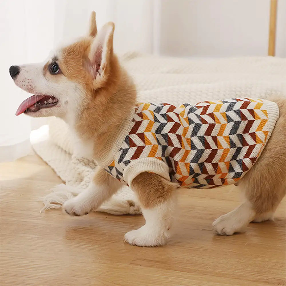 Diamond Striped Dachshund Dog Sweater