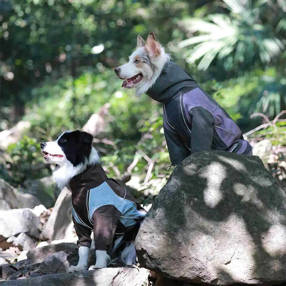 Multi-Functional Waterproof Windproof Dog Windbreaker Coat for Medium & Large Dogs