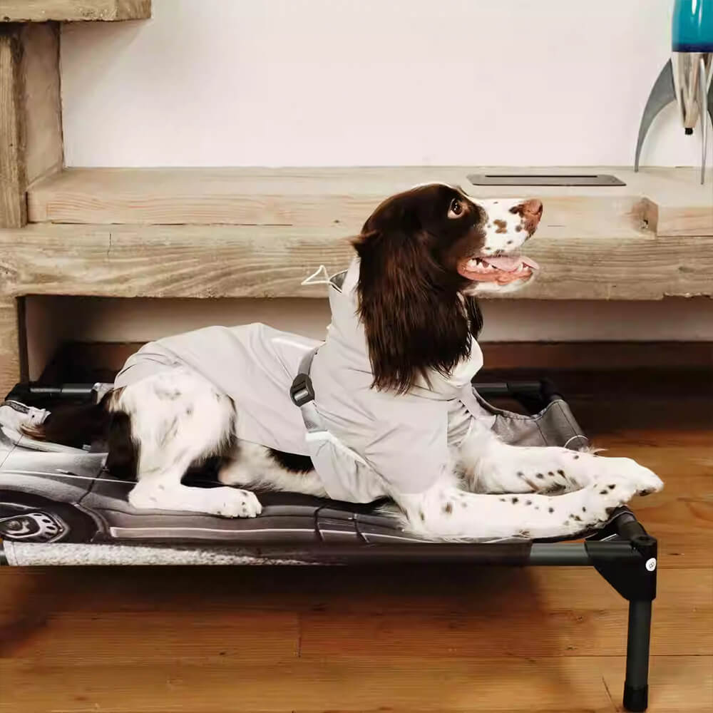 Chaqueta para perros de cuello de tortuga ligero impermeable al aire libre