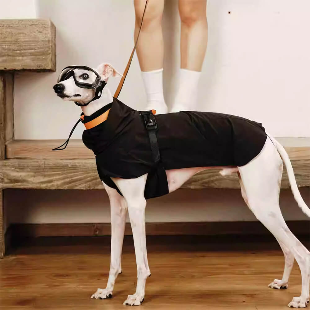 Chaqueta para perros de cuello de tortuga ligero impermeable al aire libre