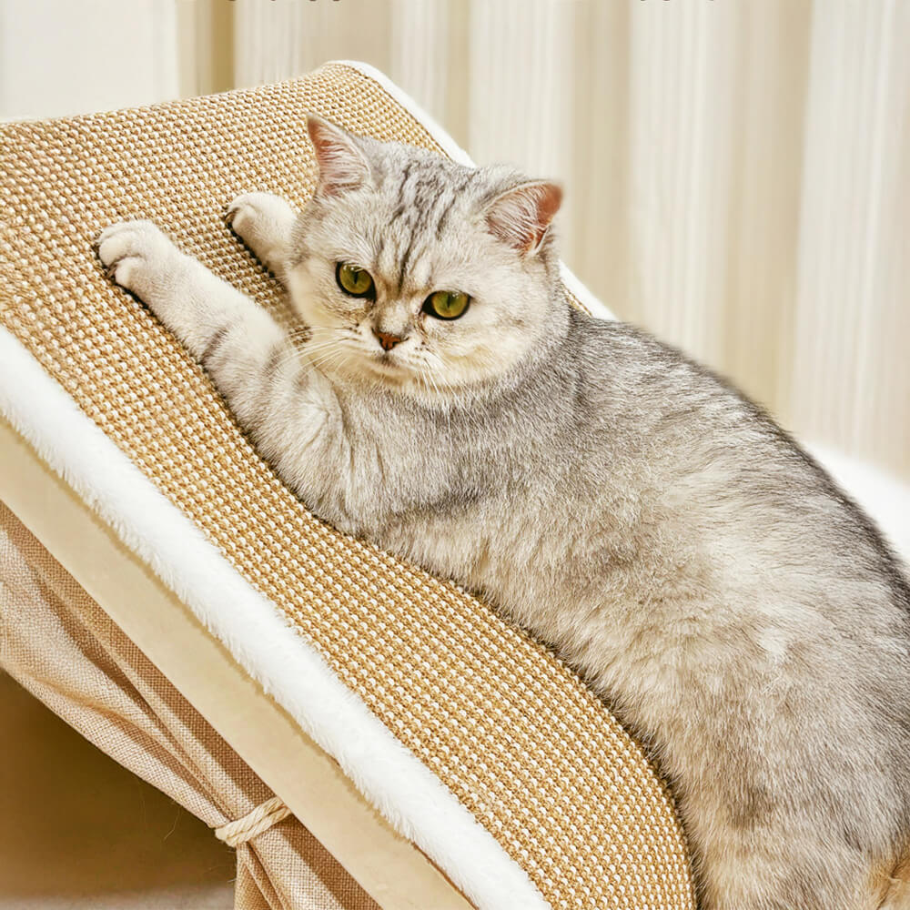 Tenda per gatti all-in-one con tetto graffiato e una zona notte accogliente