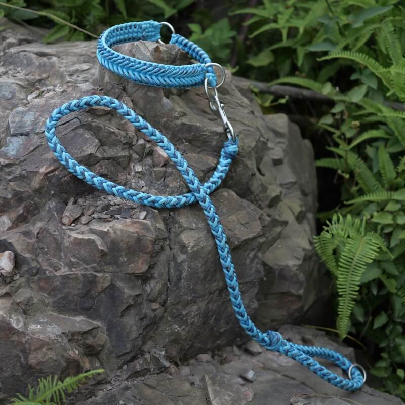 Collar e guinzaglio di cani luminosi antimanelli fatti a mano e guinzaglio