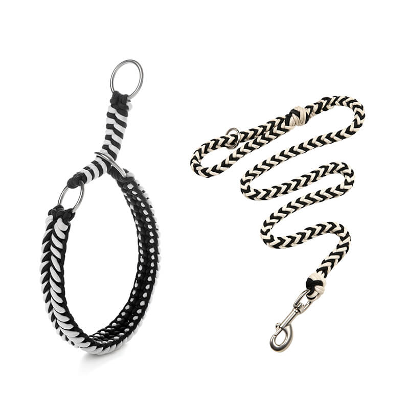 Collar e guinzaglio di cani luminosi antimanelli fatti a mano e guinzaglio