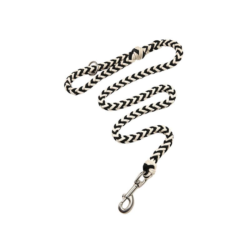 Collar e guinzaglio di cani luminosi antimanelli fatti a mano e guinzaglio