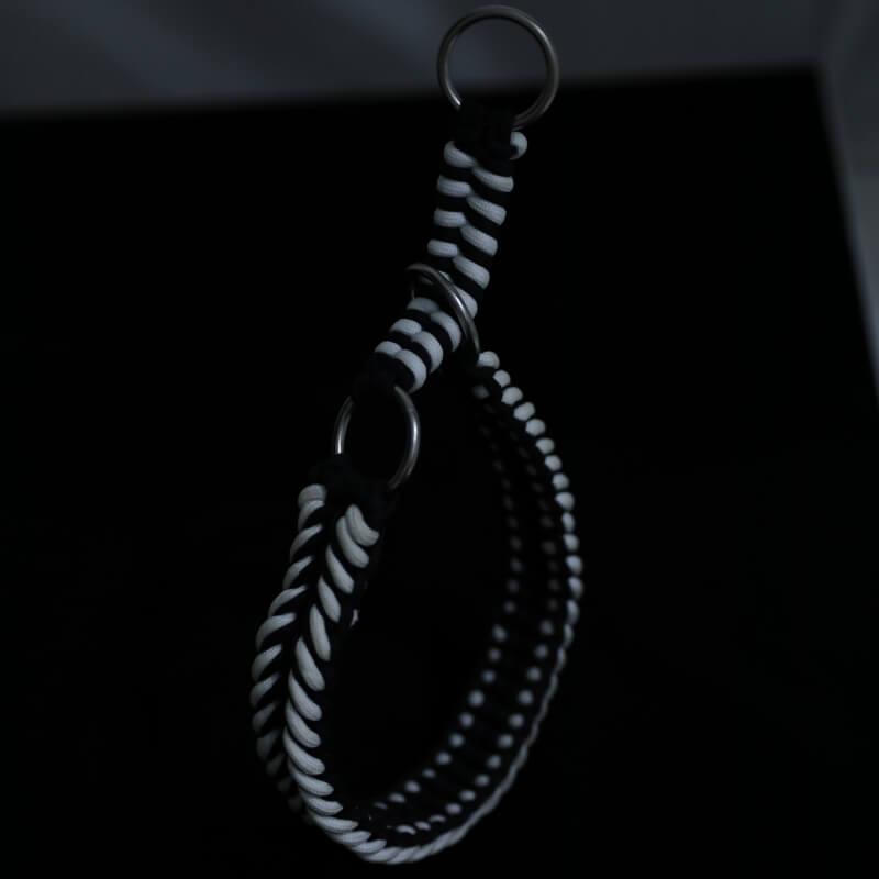 Collar e guinzaglio di cani luminosi antimanelli fatti a mano e guinzaglio