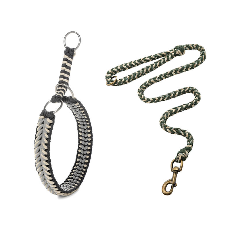 Collar e guinzaglio di cani luminosi antimanelli fatti a mano e guinzaglio