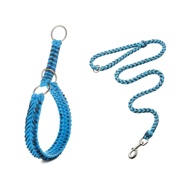 Collar e guinzaglio di cani luminosi antimanelli fatti a mano e guinzaglio