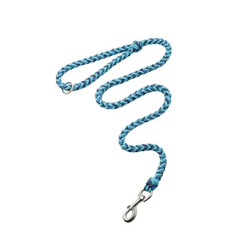 Collar e guinzaglio di cani luminosi antimanelli fatti a mano e guinzaglio