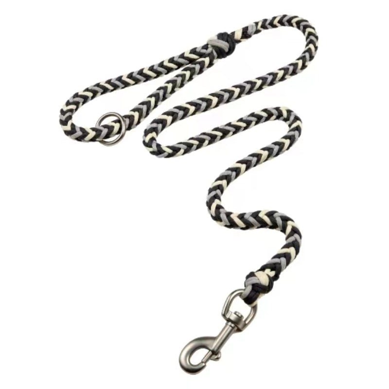 Collar e guinzaglio di cani luminosi antimanelli fatti a mano e guinzaglio