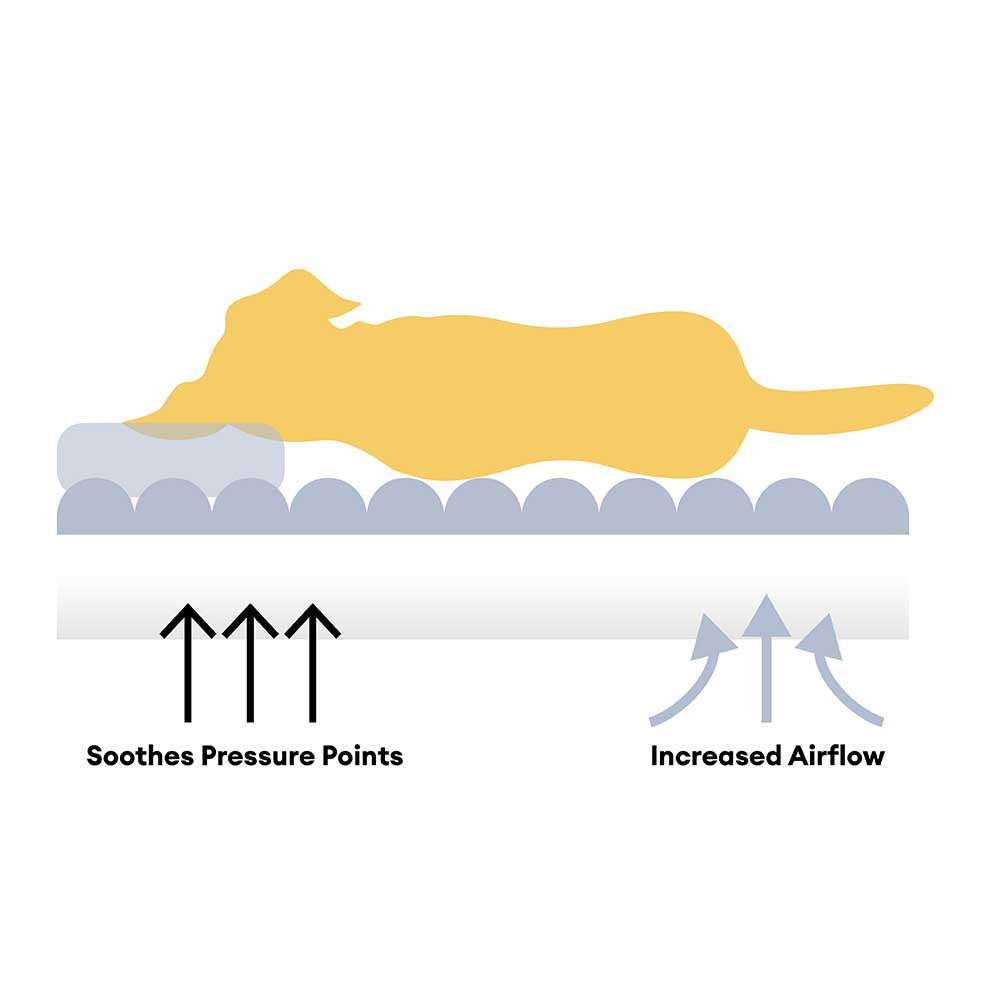 Pelocità soffice grande lettino ortopedico del dog umano-dog