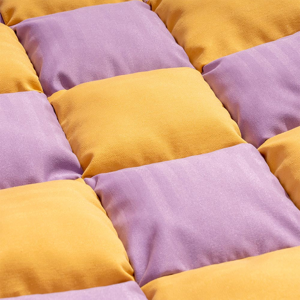 Sedile posteriore di sicurezza del cestino da viaggio Liced sedile per auto con cani - Scatto di scacchiere