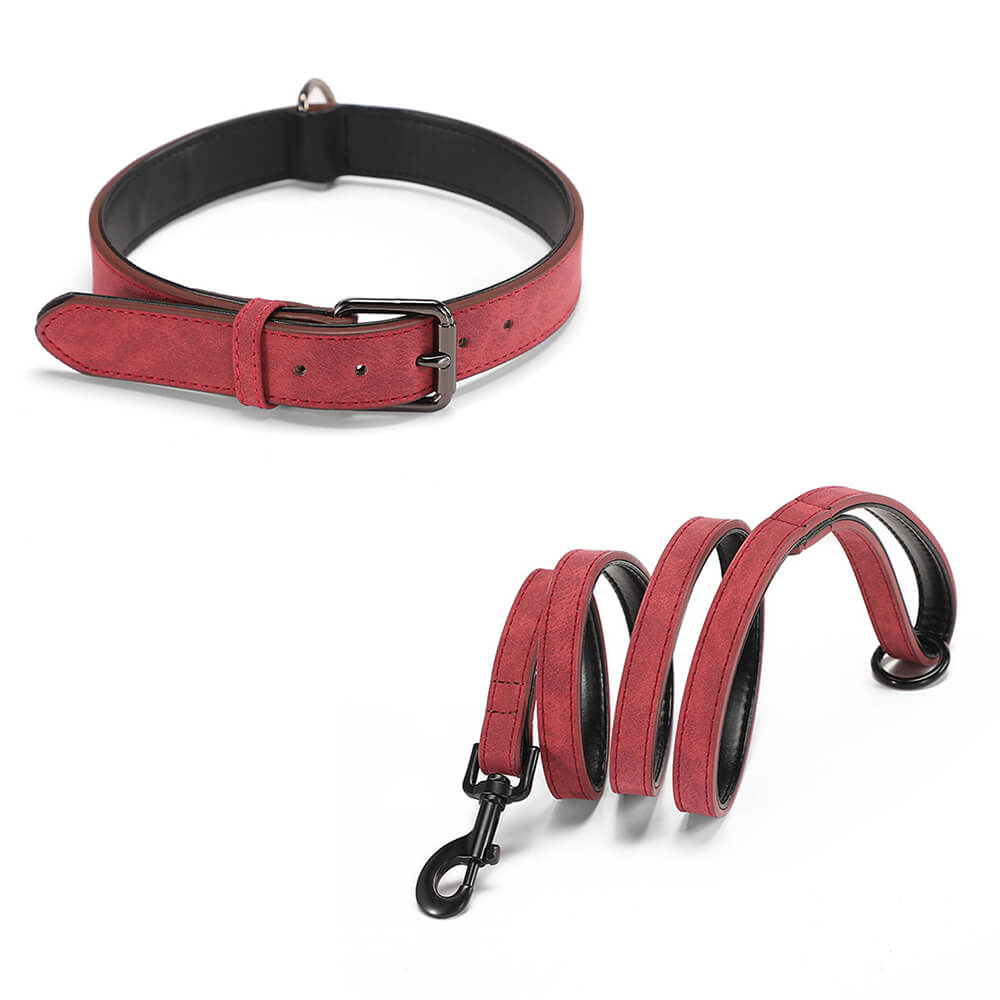 Hundehalsband-Leine-Set aus weichem Vintage-Kunstleder mit Nackenschutz
