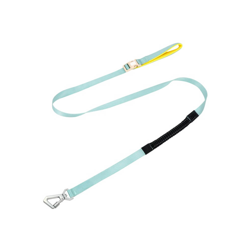 Imbrigliamento per cani anti-pull e traspirante impermeabile leggero o guinzaglio multifunzionale