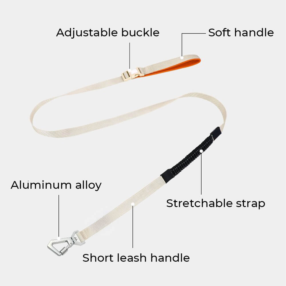 Imbrigliamento per cani anti-pull e traspirante impermeabile leggero o guinzaglio multifunzionale